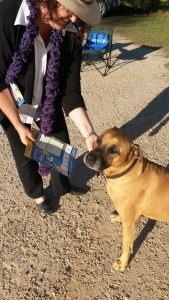 Angus from Rockhoundz does his bit at the 2016 federal election #dogsatpollingstations