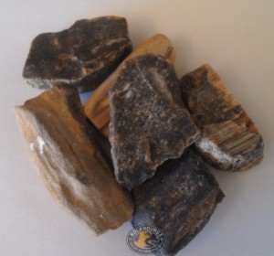 petrified wood from alluvial deposit in Roma Qld at rockhoundz.com.au