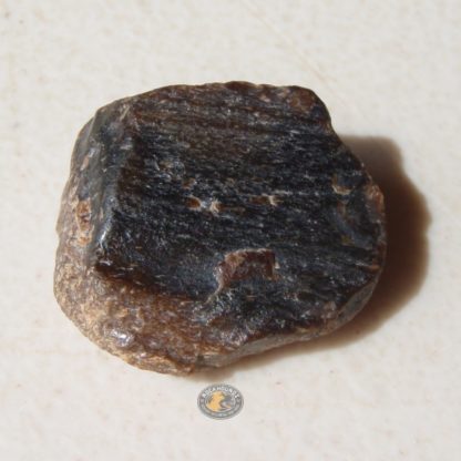 petrified wood from alluvial deposit in Roma Qld at rockhoundz.com.au