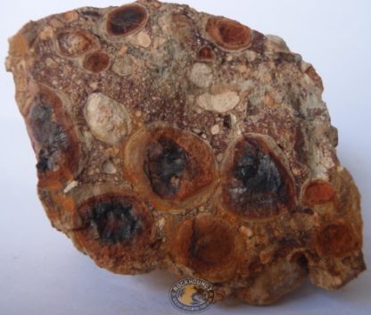 arkansas bauxite from rockhoundz.com.au