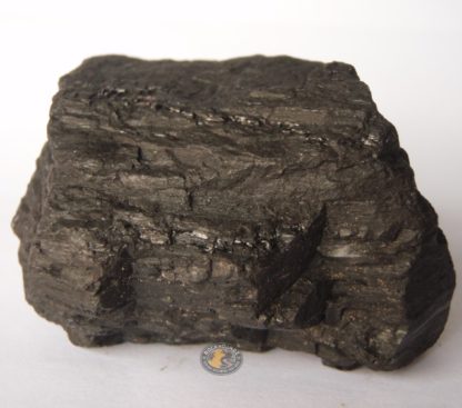 clermont coal from rockhoundz.com.au