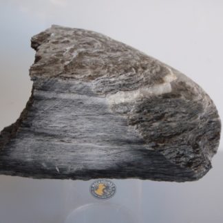 new zealand schist from rockhoundz.com.au