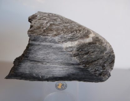 new zealand schist from rockhoundz.com.au