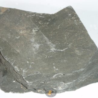 kin kin phyllite at rockhoundz.com.au