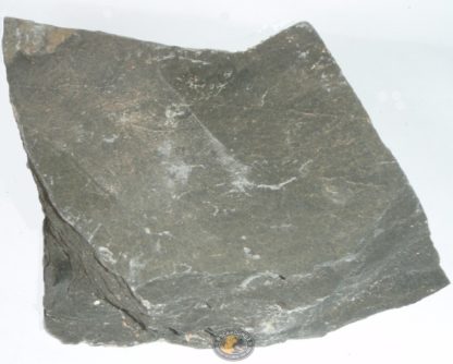 kin kin phyllite at rockhoundz.com.au