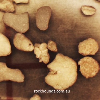 Central QLD foraminiferous sand at rockhoundz.com.au